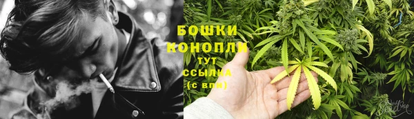 шишки Бронницы